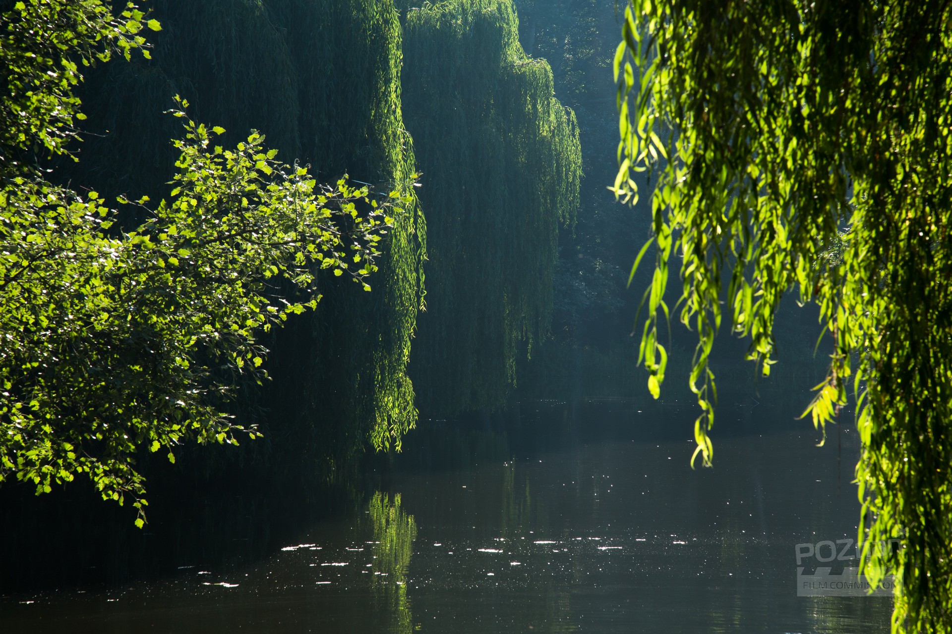 Dębina Forest Park