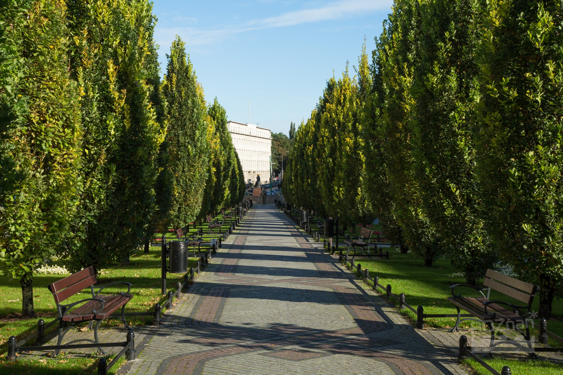 Marcinkowskiego Avenues