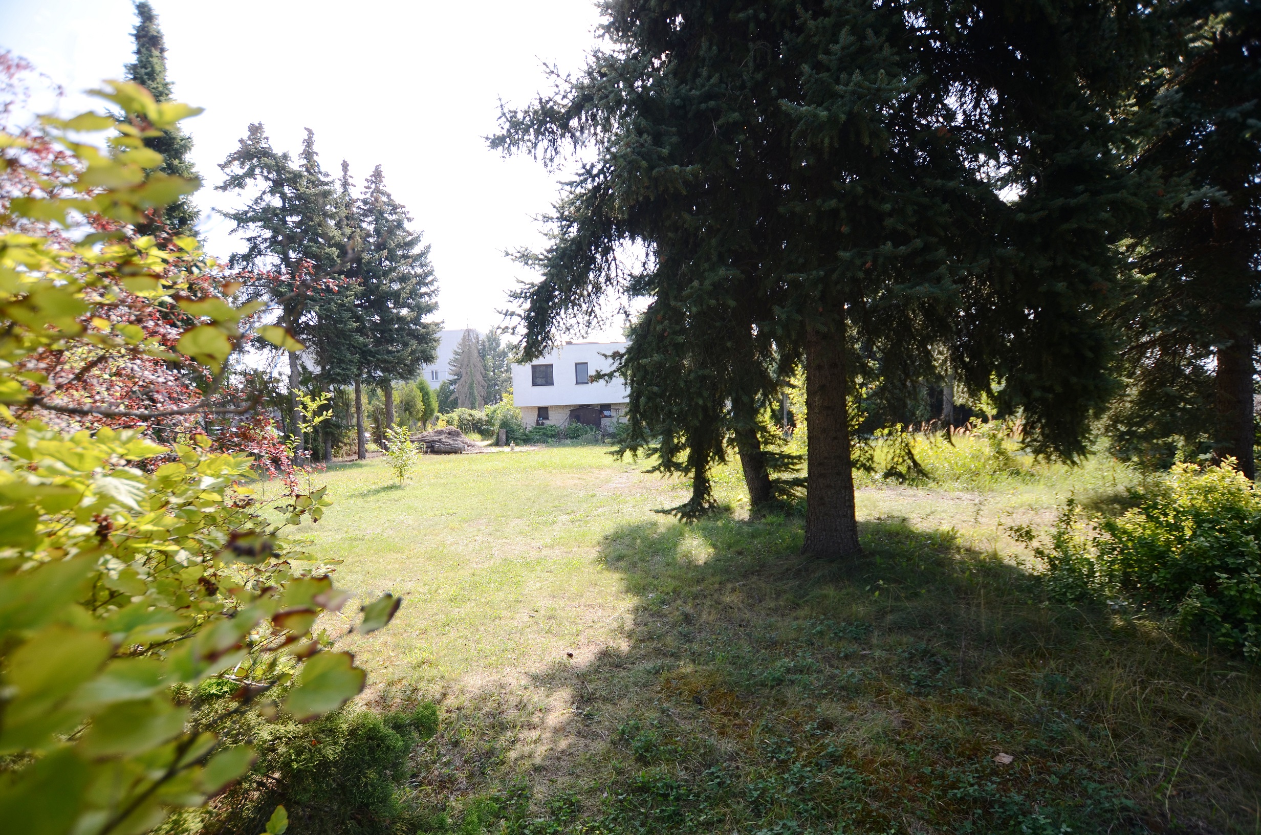 Dom z tarasem i pięknym ogrodem